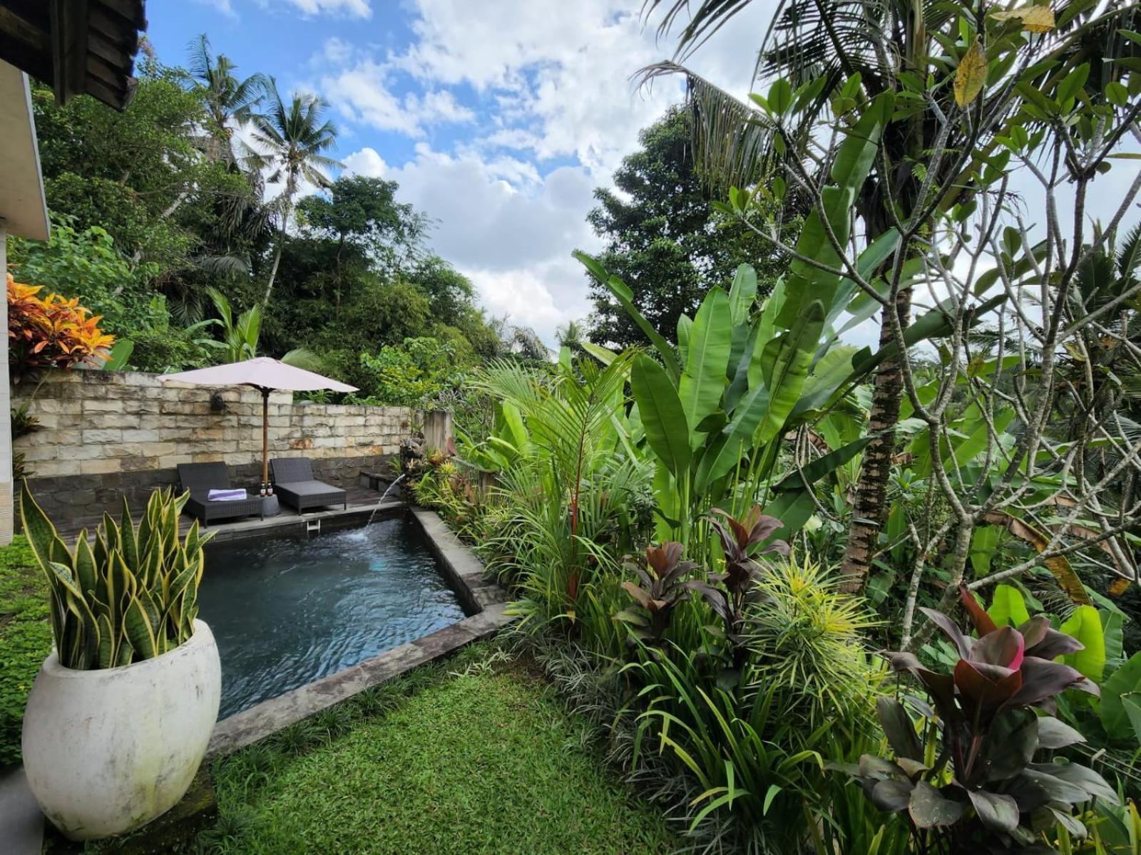 Taluh Bebek Ubud Private Villas Ngoại thất bức ảnh
